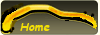 Home button